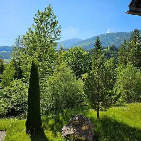 Bergnest Im Prielkreuz - Grosses Im Und Wandergebiet Apartament Hinterstoder