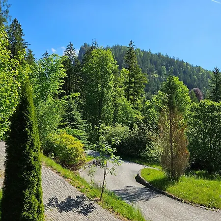 Bergnest Im Prielkreuz - Grosses Im Und Wandergebiet Apartament *