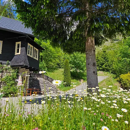 Apartament Bergnest Im Prielkreuz - Grosses Im Und Wandergebiet *