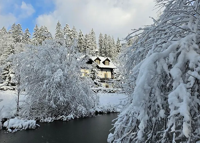 Apartment Bergnest Im Prielkreuz - Grosses Im Und Wandergebiet Hinterstoder