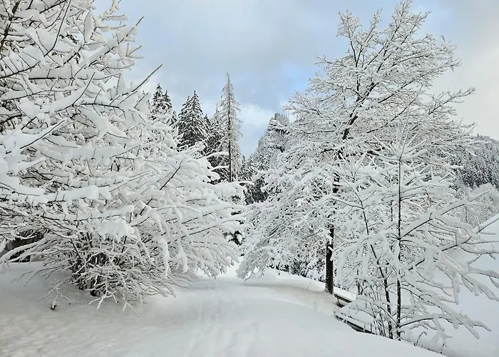 Bergnest Im Prielkreuz - Grosses Im Und Wandergebiet